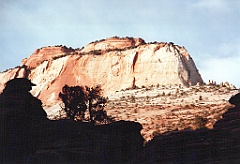 1997 - USA 19 (Zion National Park, UT)